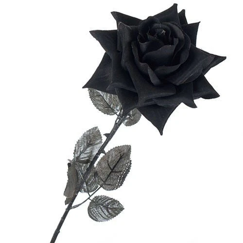Ramo 6 Rosas Negras - Image 3